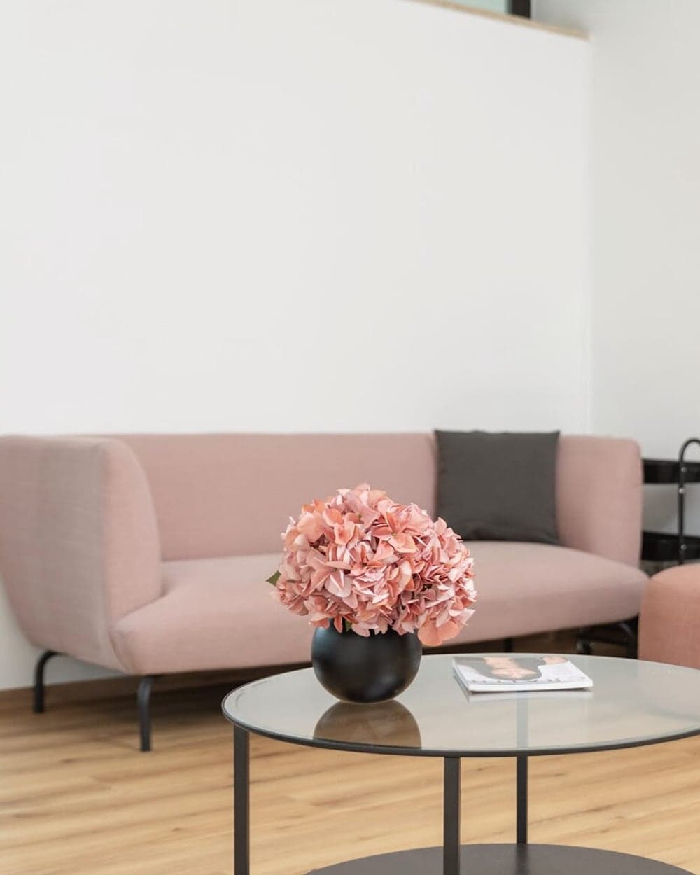 Wartebereich im Beautyloft mit altrosa Sofa, Pflanzen und Produktregal